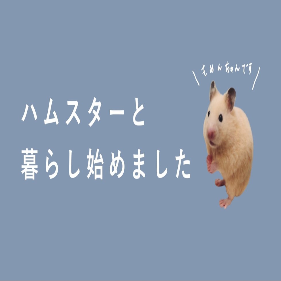 ハムスターと暮らし始めました 小さな瞳に毎日萌え萌え 果歩 Note