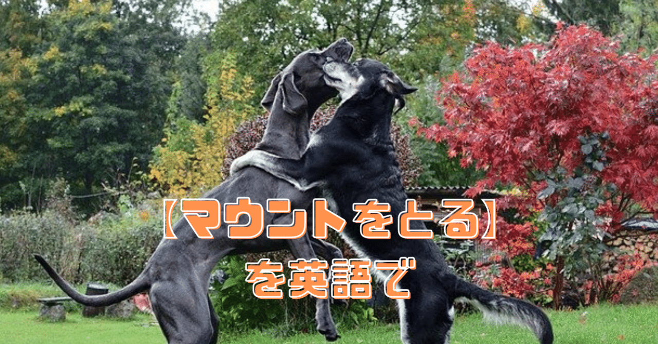 マウントをとる を英語で何という Rae 英語小ネタ Note