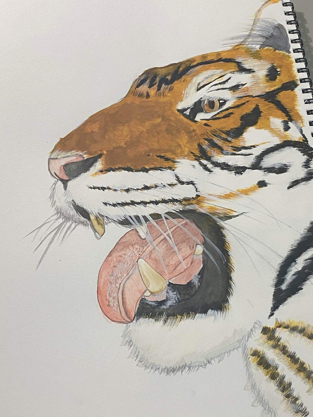 虎も牙を隠す｜toymms