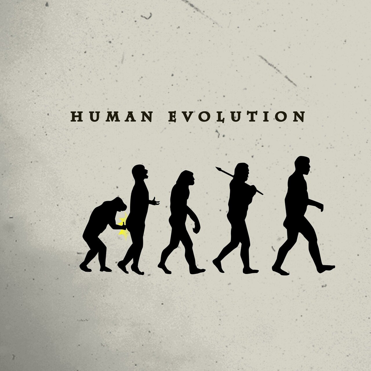 人類の進化を表現する 前田 とまき Tomaki Note 人類の進化を表現する 前田 とまき Tomaki Note