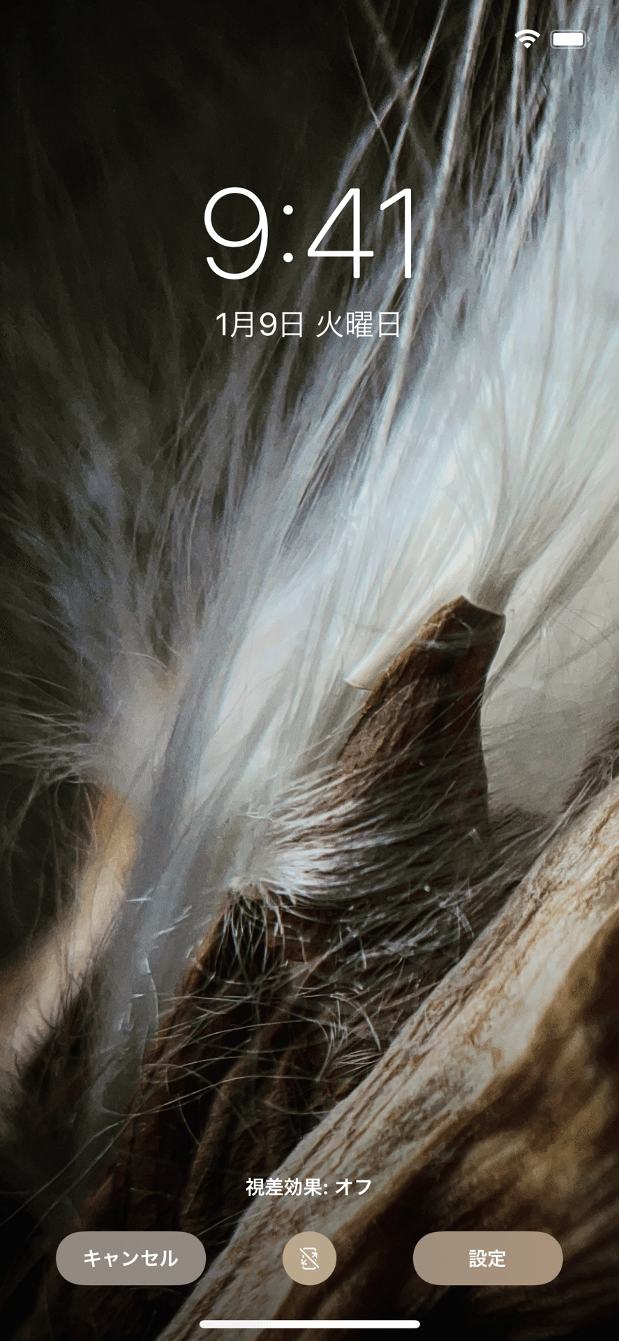 スマホで撮った写真をスマホの待ち受けにするという遊びを開発 フジイピカピ そのへんの3cmを撮る人 Note