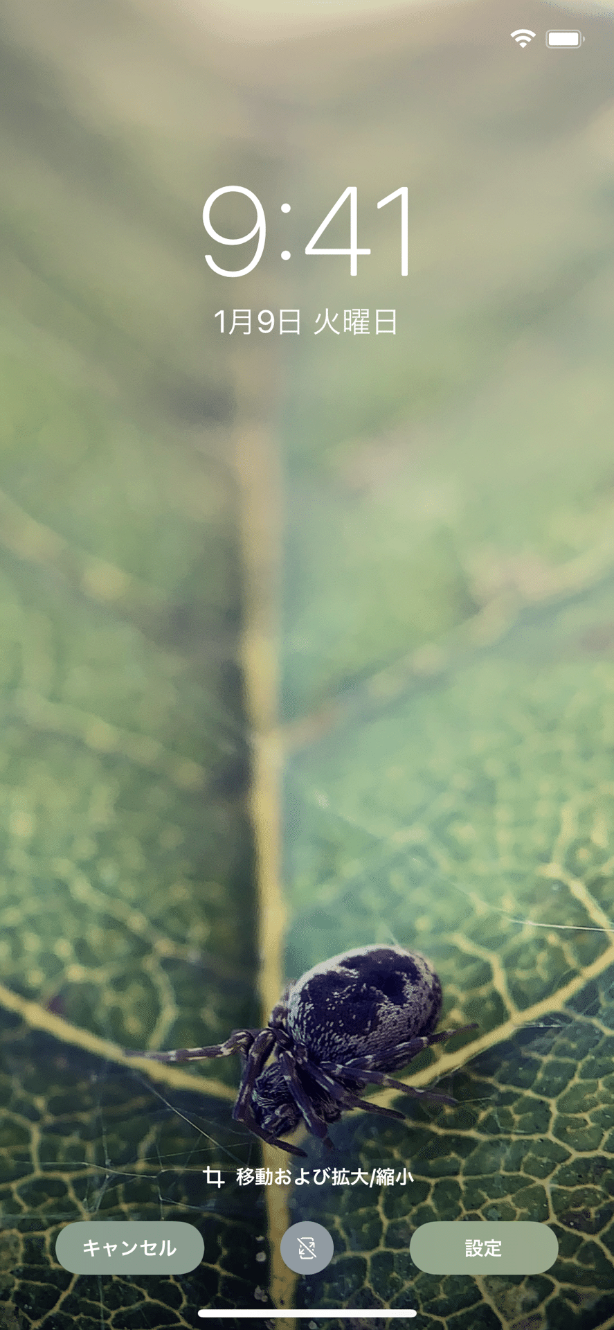 スマホで撮った写真をスマホの待ち受けにするという遊びを開発 フジイピカピ そのへんの3cmを撮る人 Note