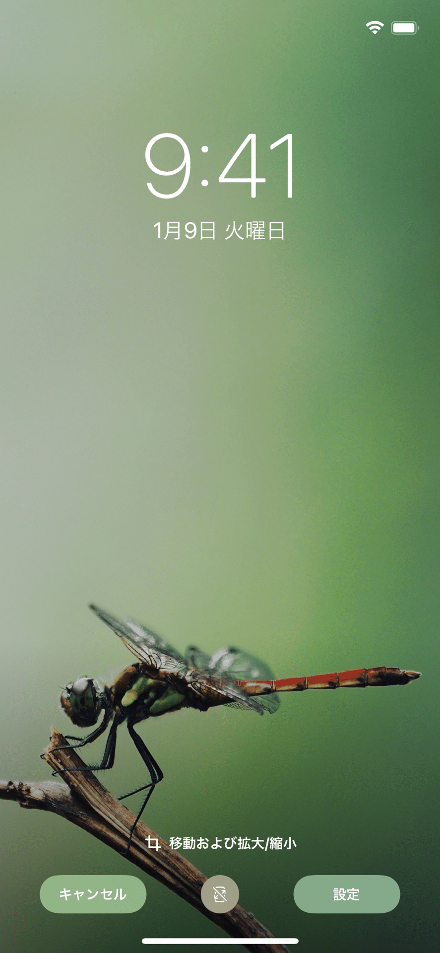 スマホで撮った写真をスマホの待ち受けにするという遊びを開発 フジイピカピ そのへんの3cmを撮る人 Note