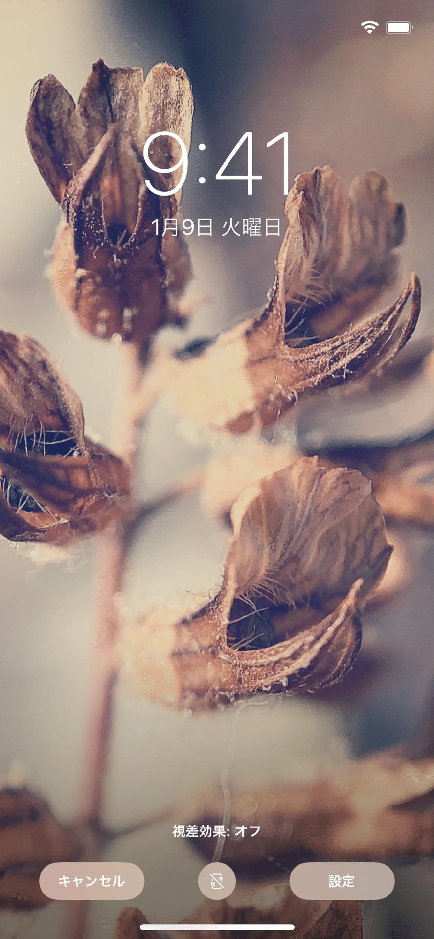 スマホで撮った写真をスマホの待ち受けにするという遊びを開発 フジイピカピ そのへんの3cmを撮る人 Note