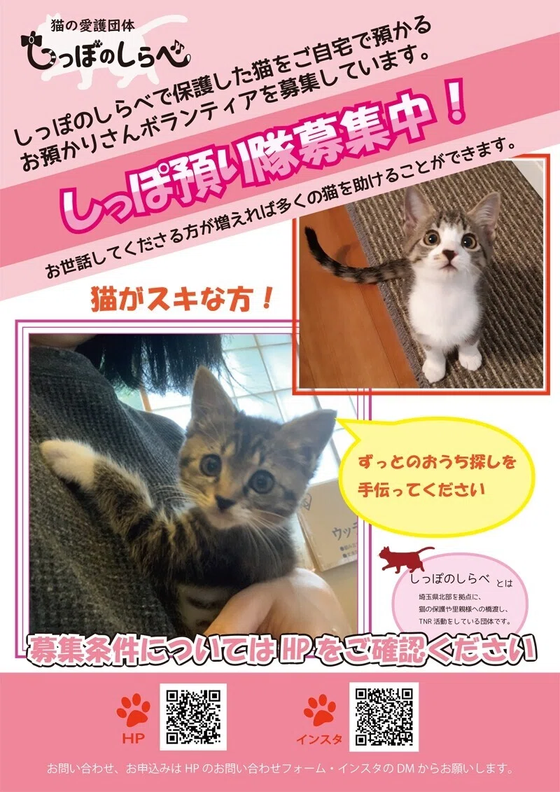 常に募集中です｜しっぽのしらべ｜note