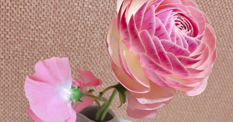 花屋は花言葉を知らない 鈴蘭 Note