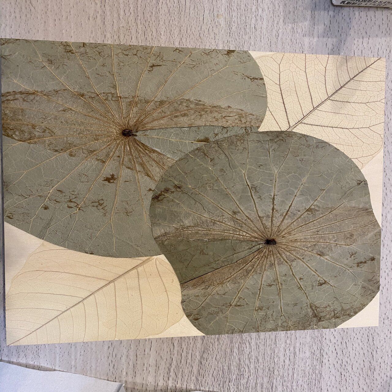 作品】葉脈のアート｜