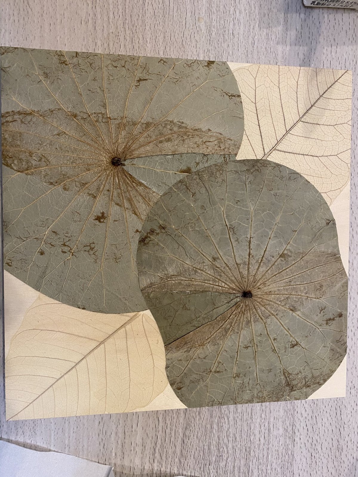 作品】葉脈のアート｜