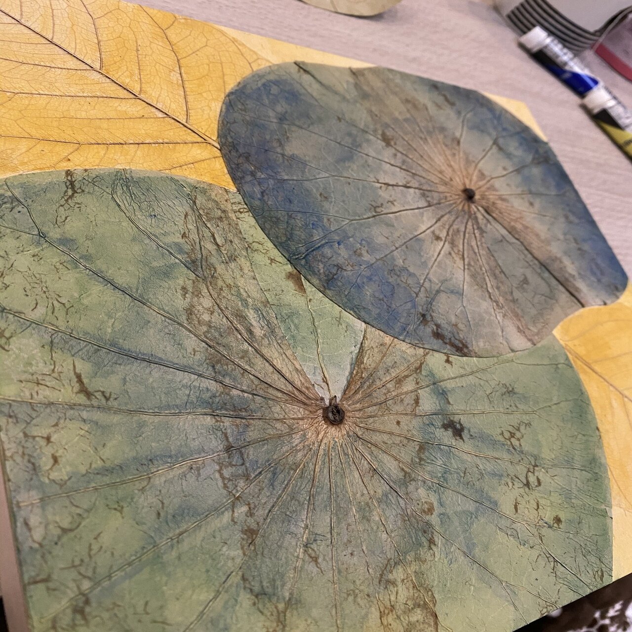 作品】葉脈のアート｜