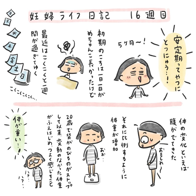 16週目 安定期とつにゅう 三輪 夏生 みわ なつき Note