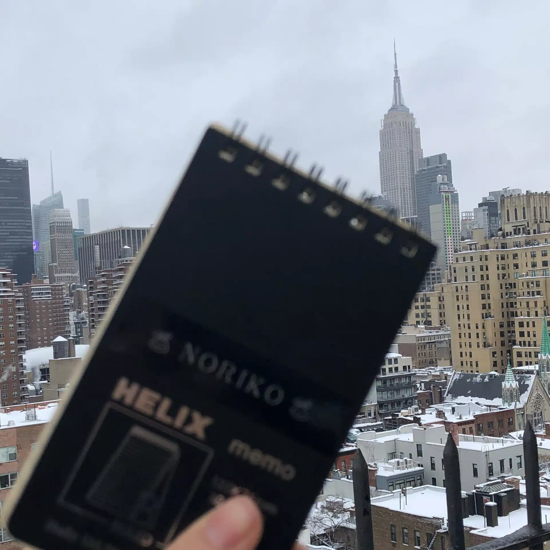 New York 雑記帳＿NY のりこ