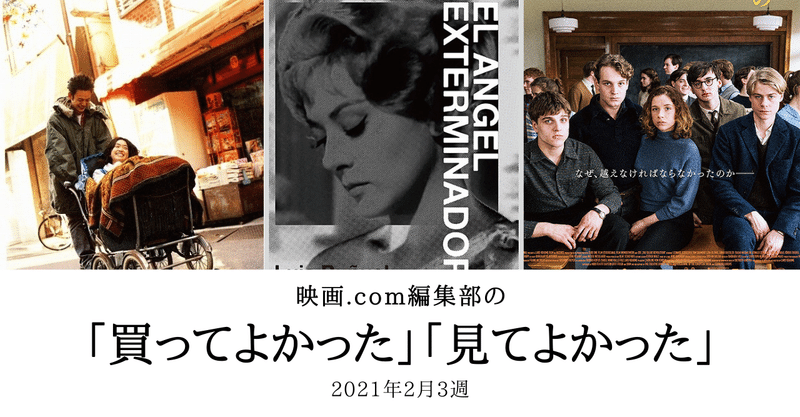 パートナーのために買った3つのdvdと google arts cultureと 編集部の 買ってよかった 見てよかった 映画 com style note