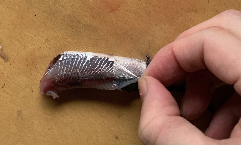 小イワシの刺身 かないわレシピ Note