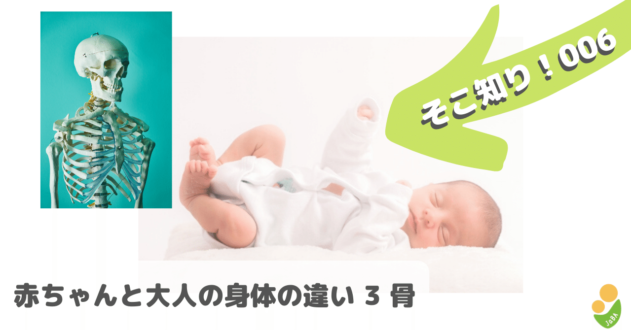 そこ知り 006 赤ちゃんと大人の身体の違い 一社 日本ベビーウェアリング協会 Note そこ知り 006 赤ちゃんと大人の身体の違い 一社 日本ベビーウェアリング協会 Note