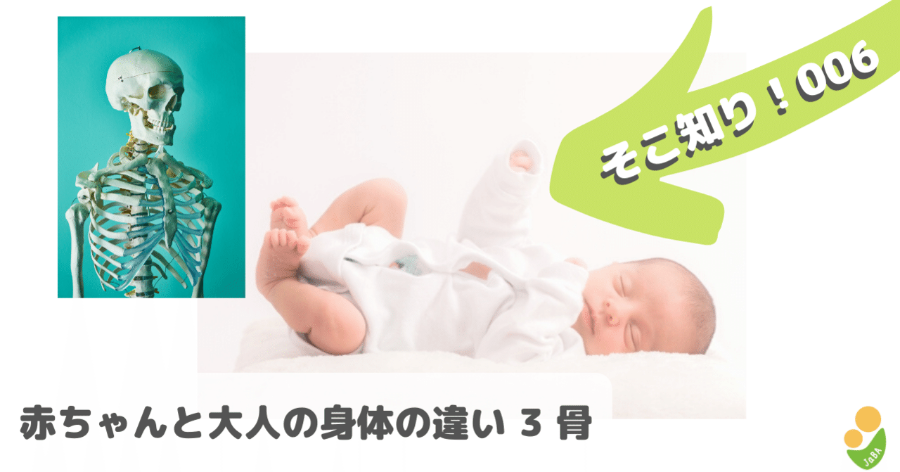 そこ知り 006 赤ちゃんと大人の身体の違い 一社 日本ベビーウェアリング協会 Note