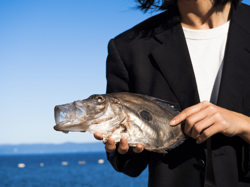 魚料理写真館vol 2 マトウダイ とと日誌 Note 魚料理写真館vol 2 マトウダイ とと日誌 Note
