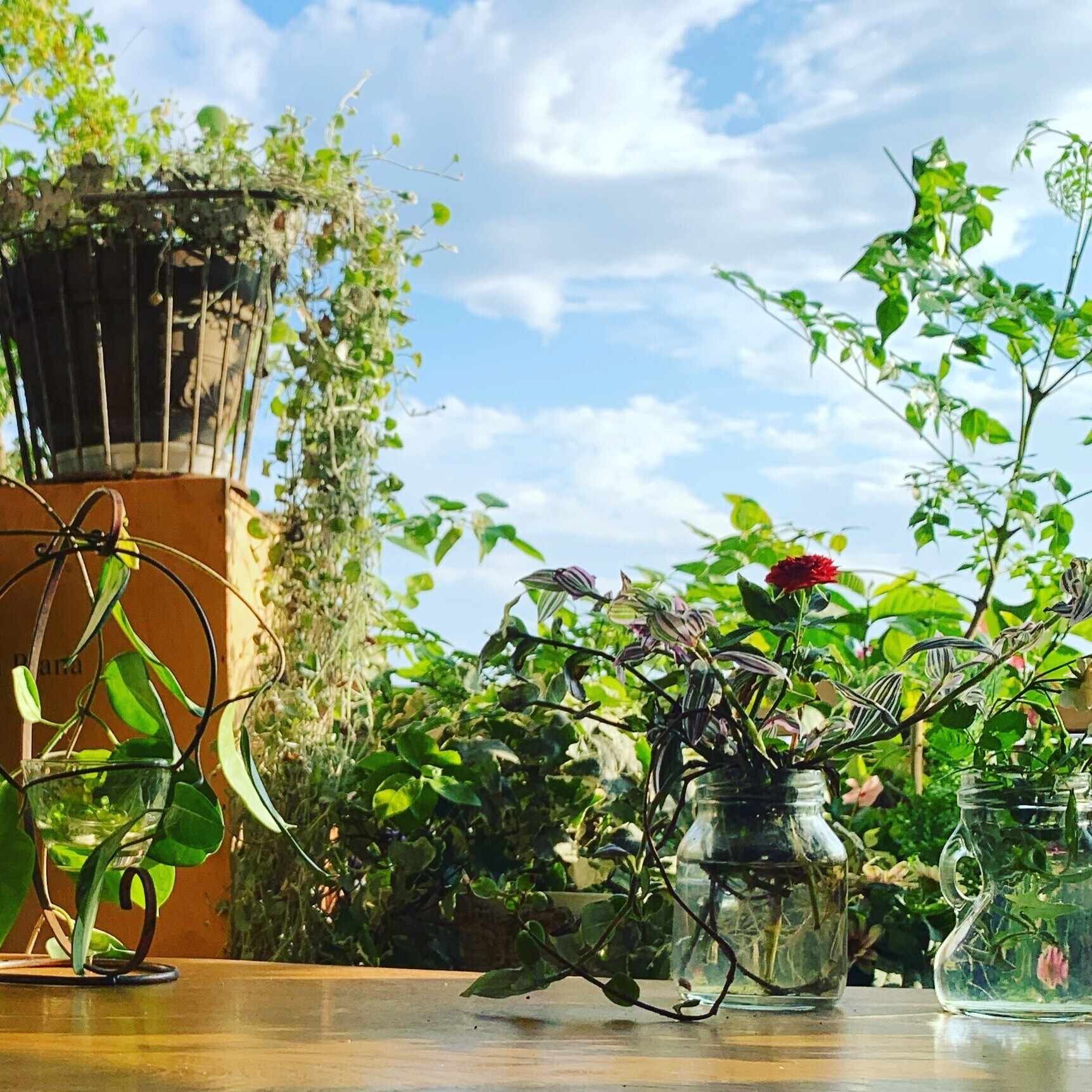 脚本家・今井雅子（clubhouse朗読 #膝枕リレー）