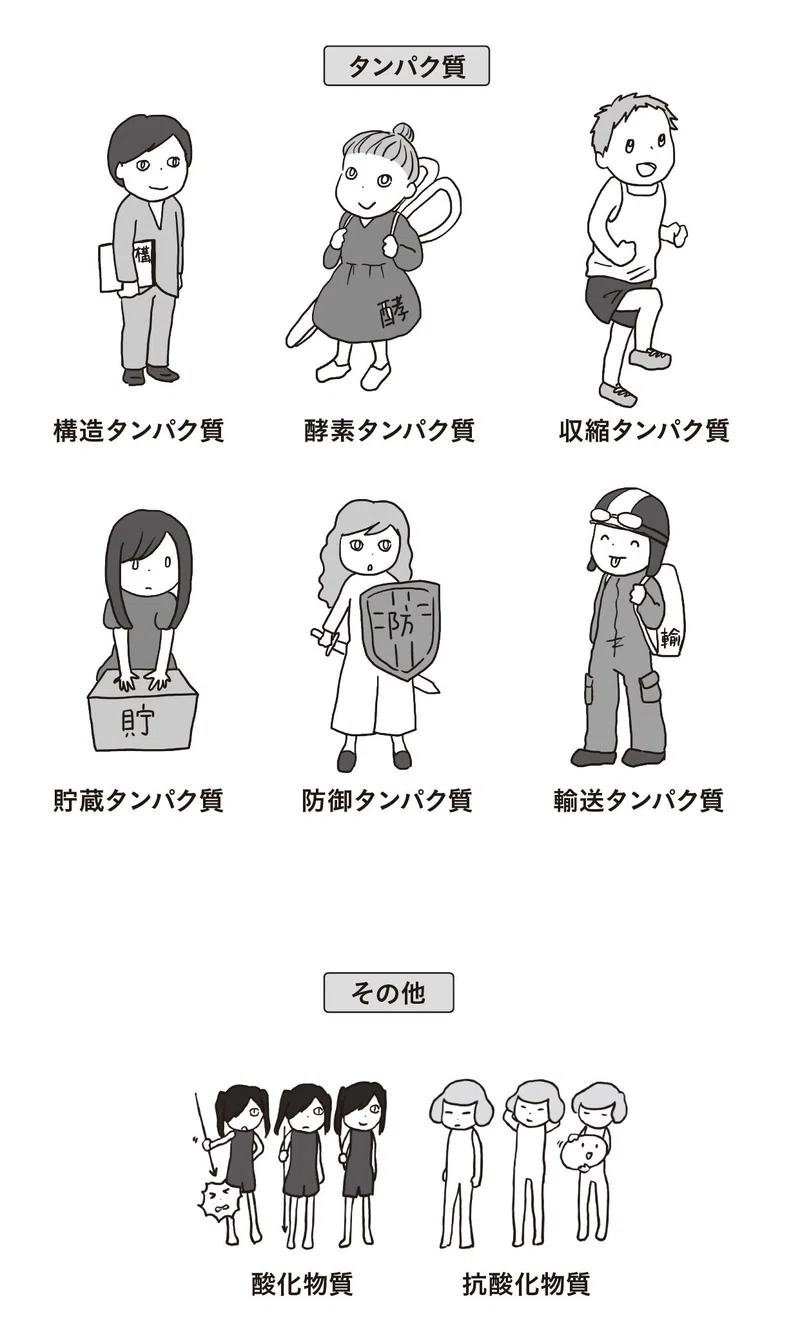 試し読み 図解 身近にあふれる 栄養素 が3時間でわかる本 2月新刊のご案内 明日香出版社 公式 Note
