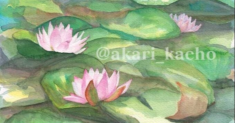 透明水彩花の絵クッションカバー一覧 あかり花鳥風月 花の絵レンタルアートサブスク note