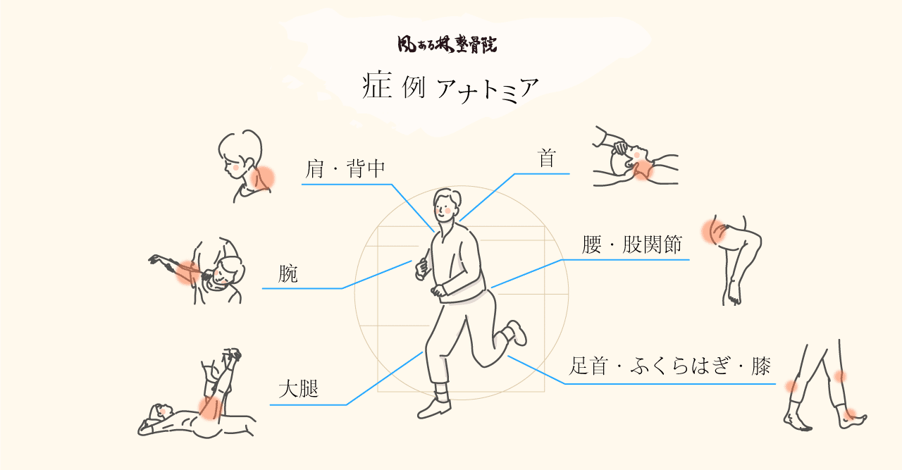 風ある林整骨院 症例アナトミア 風ある林整骨院 Note