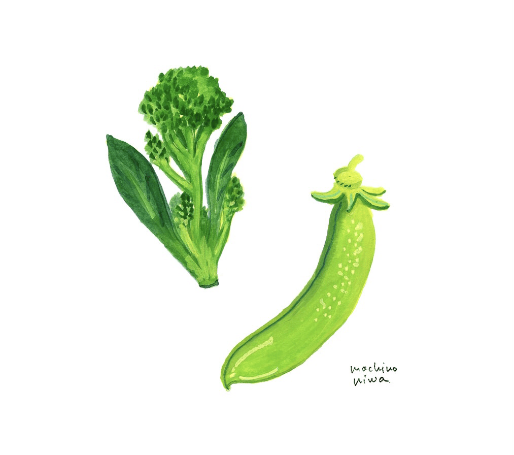 茎ブロッコリーとスナップエンドウ 茎ブロッコリーの小さな葉っぱ 以前は取って食べていたのだけど 彼のアドバイスで 一緒に茹でて食べてみたら 柔らかく味が濃くて美味しかった 今までの手間と 捨てていた葉に マチノニワ イラストレーター Note