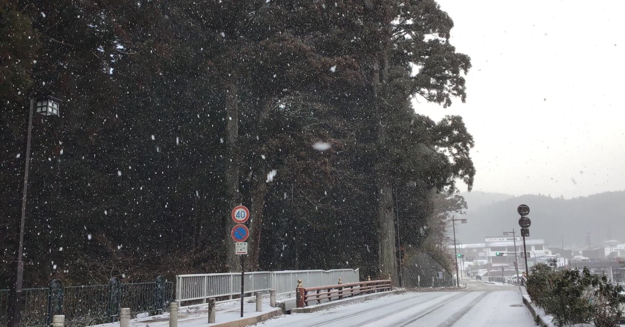 道路に積もってきました❄️