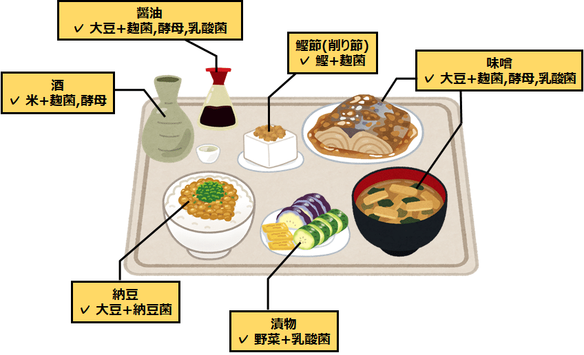 発酵食品が最強という話 Pokoyama Note 発酵食品が最強という話 Pokoyama Note
