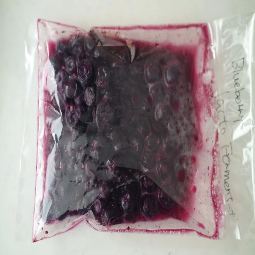 発酵ラボ〜第5回 乳酸発酵の基本 乳酸発酵ブルーベリー〜｜樋口直哉 