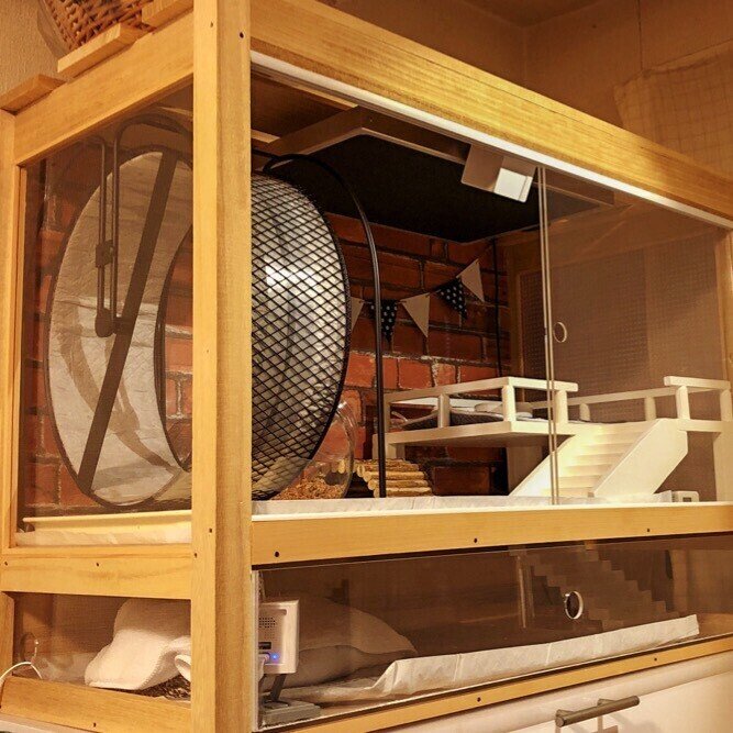 Atom Cam利用シチュエーション ハリネズミ用のペットカメラとして Atom Tech アトムテック Note