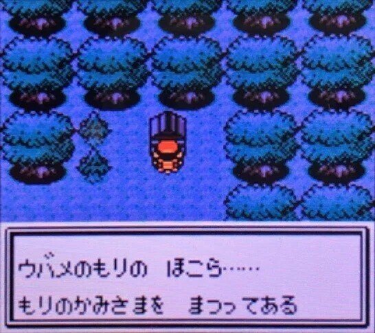 ポケモン金銀は少年が冒険するワクワク感がたくさんあったというお話し 七部学 モスモスオ Note