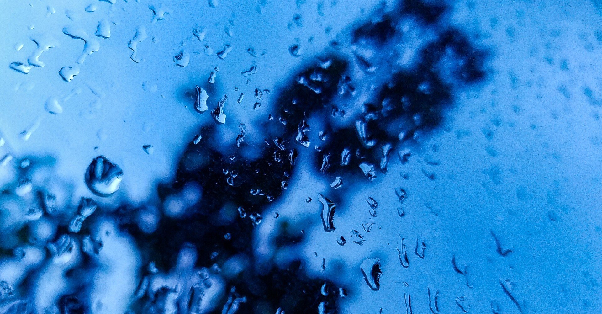 言の葉の庭 から見る 子供にとっての社会 Contra Note