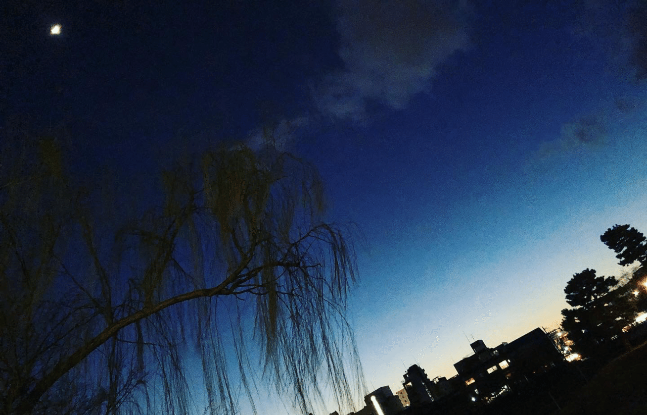 闇が降りてくる瞬間の空は白く光る 安心感を得たあたしの内側に時折 また闇が降りてくるようになった 日が沈み 日が昇る あたりまえに繰り返される宇宙 闇 は光とともにある ナミダガール Note