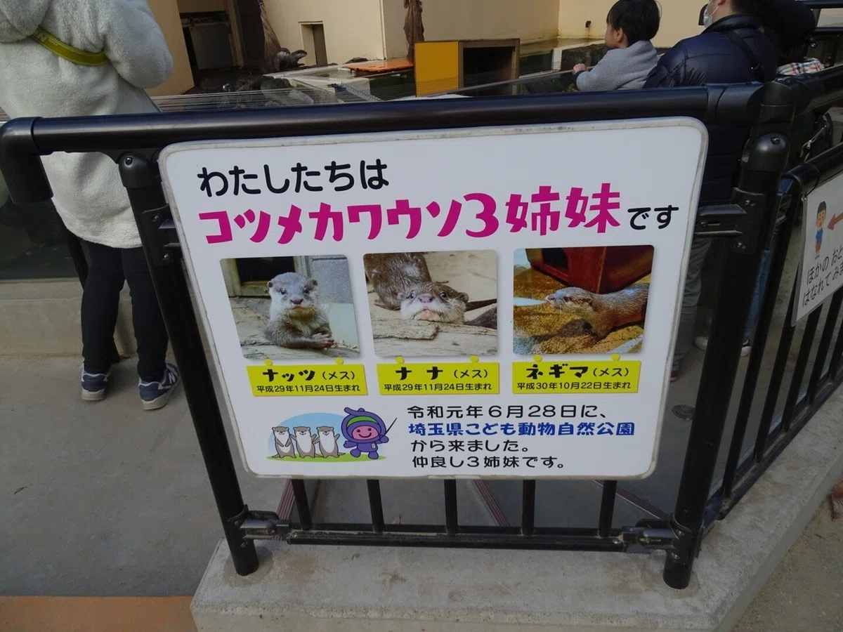 画像7