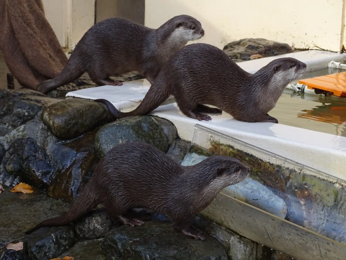 画像10