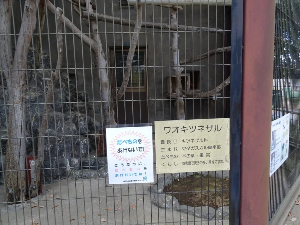 画像26