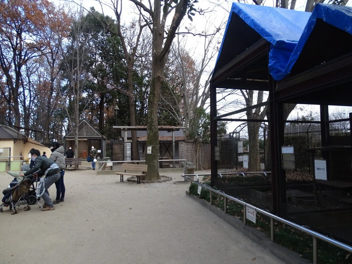 画像24