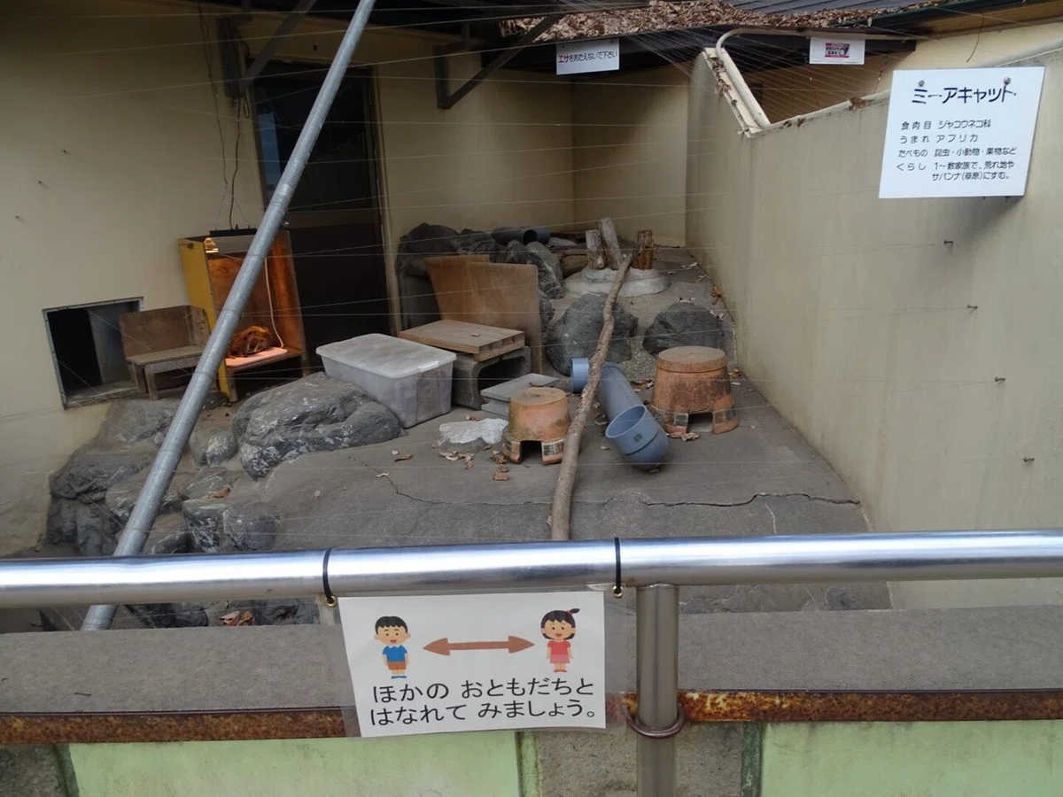 画像29