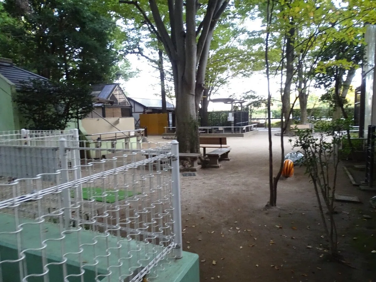 画像32