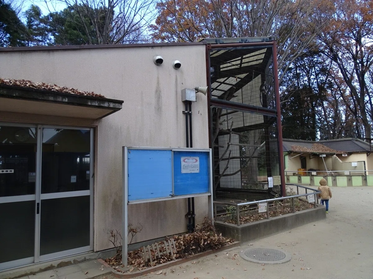 画像31