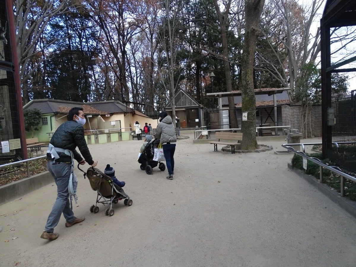 画像34