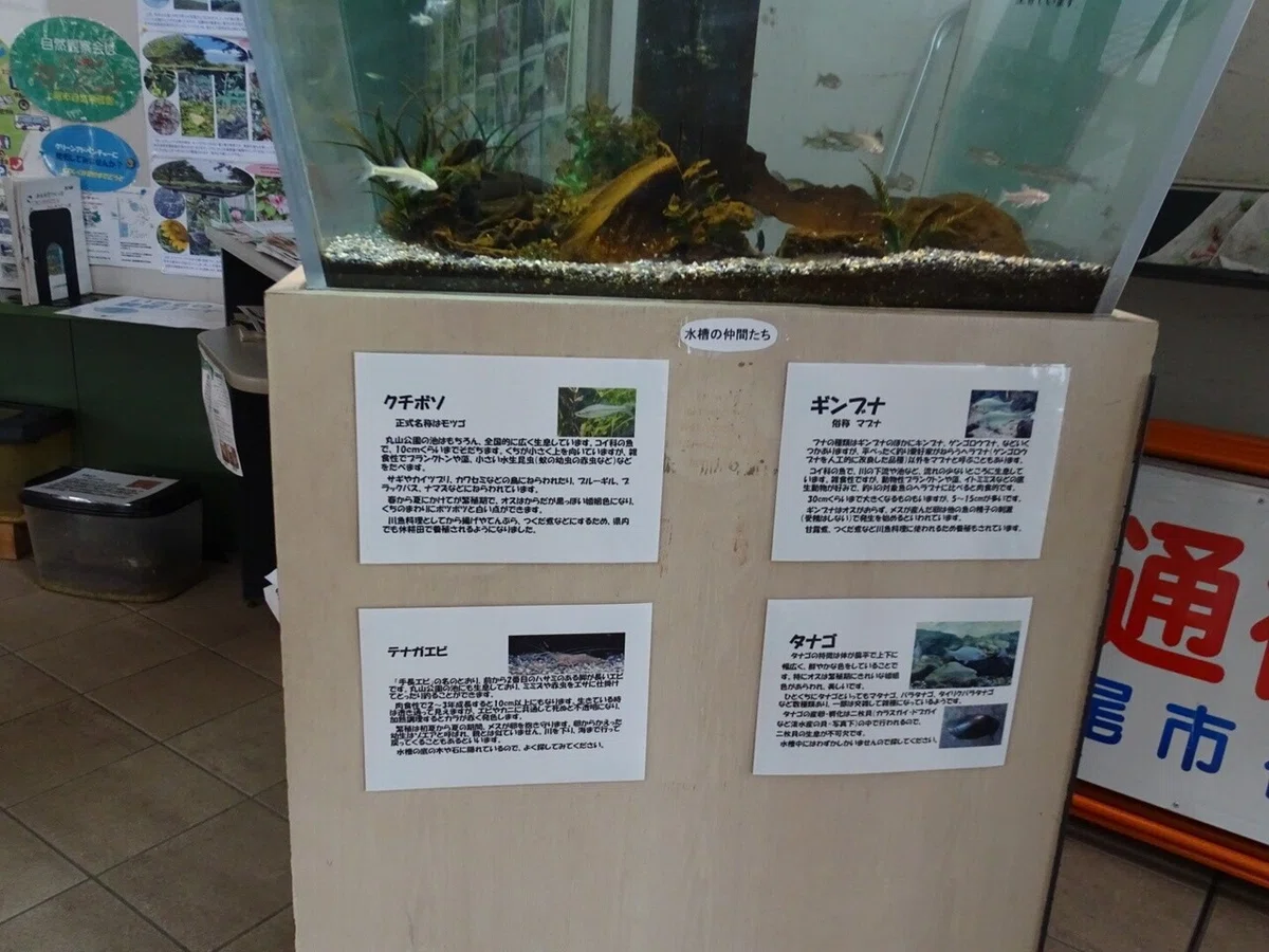 画像35
