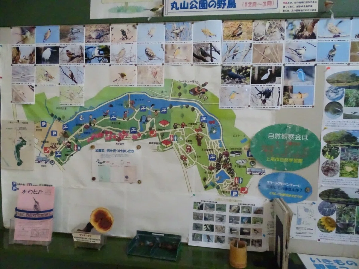 画像36