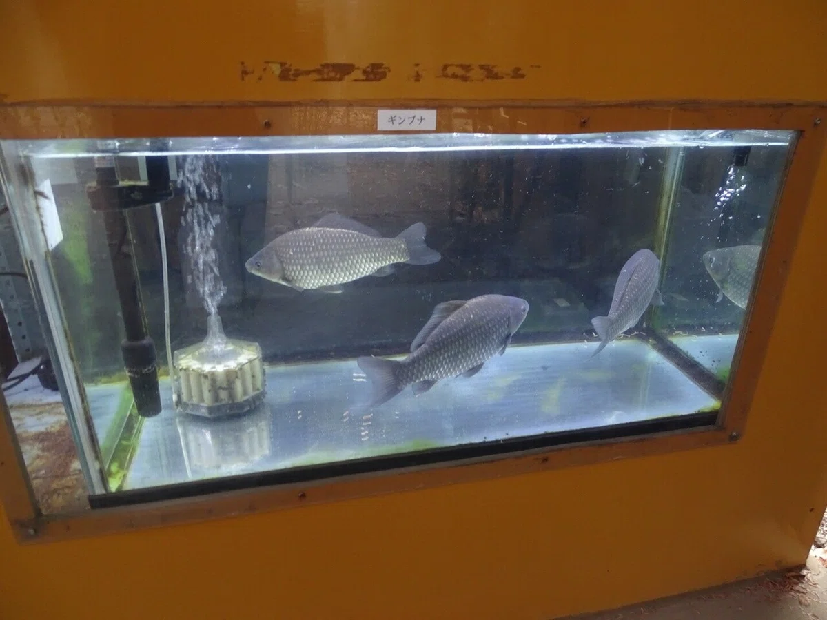 画像40