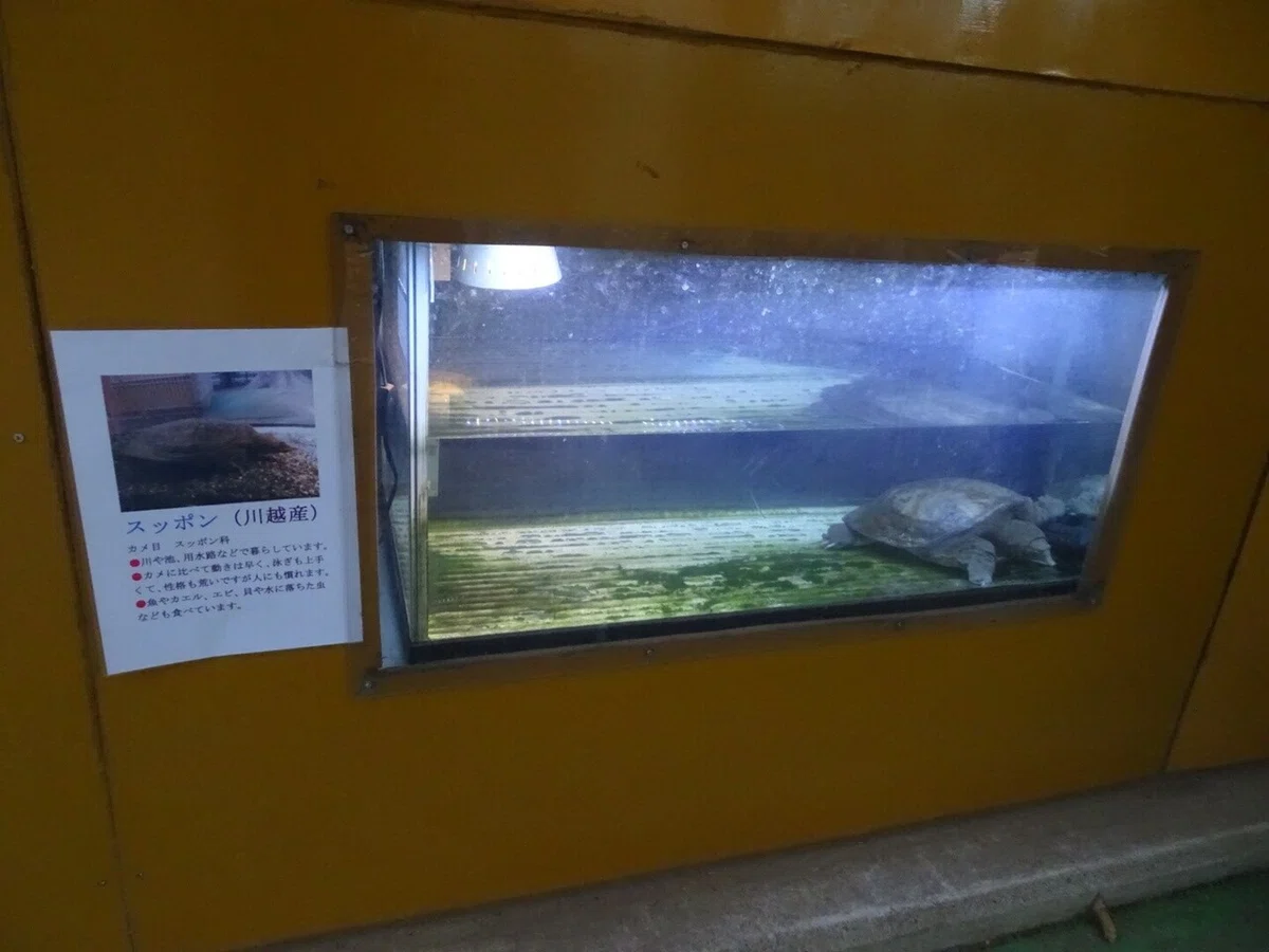 画像45