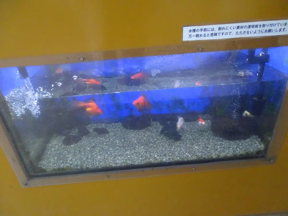 画像43