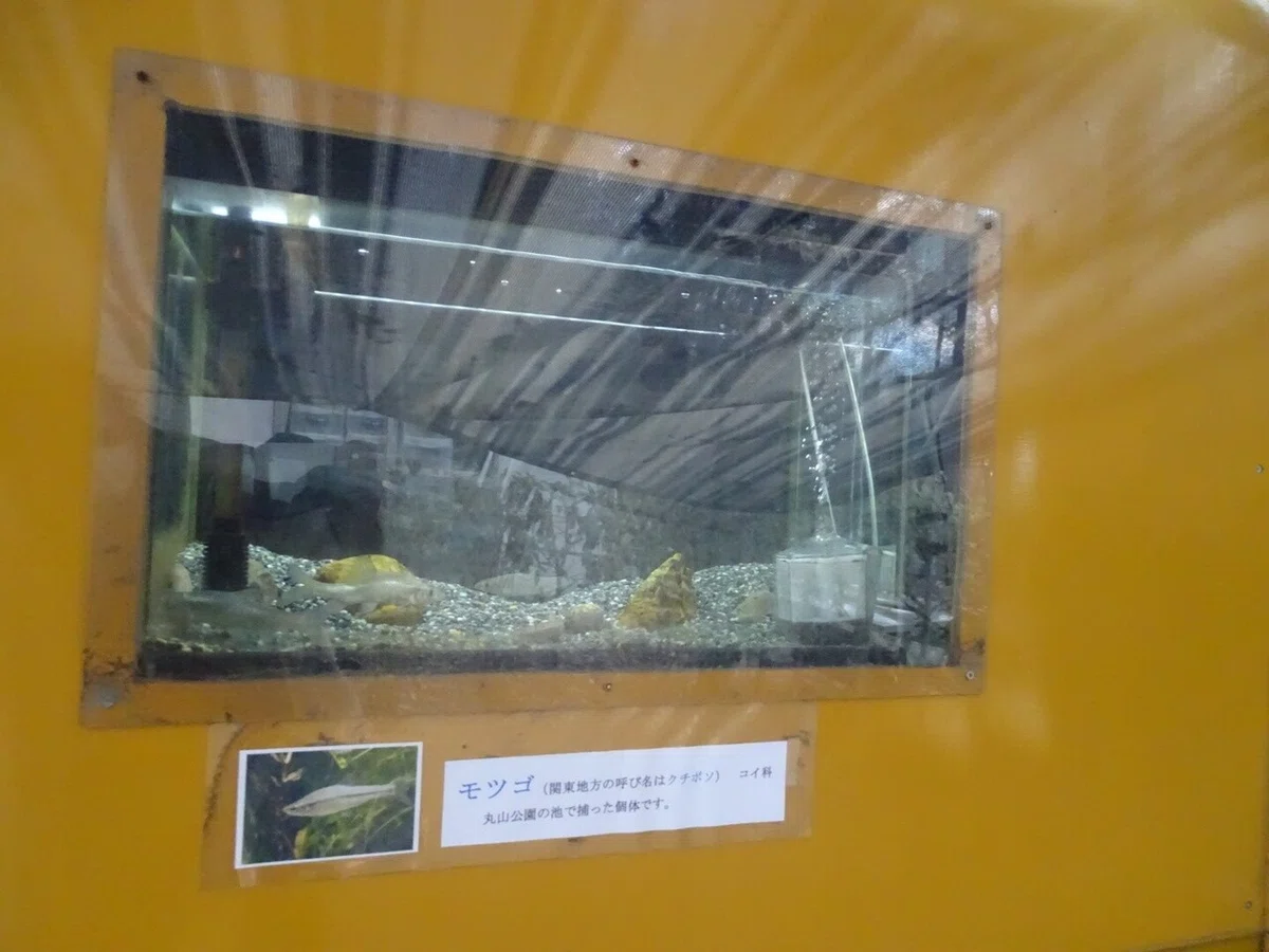 画像44