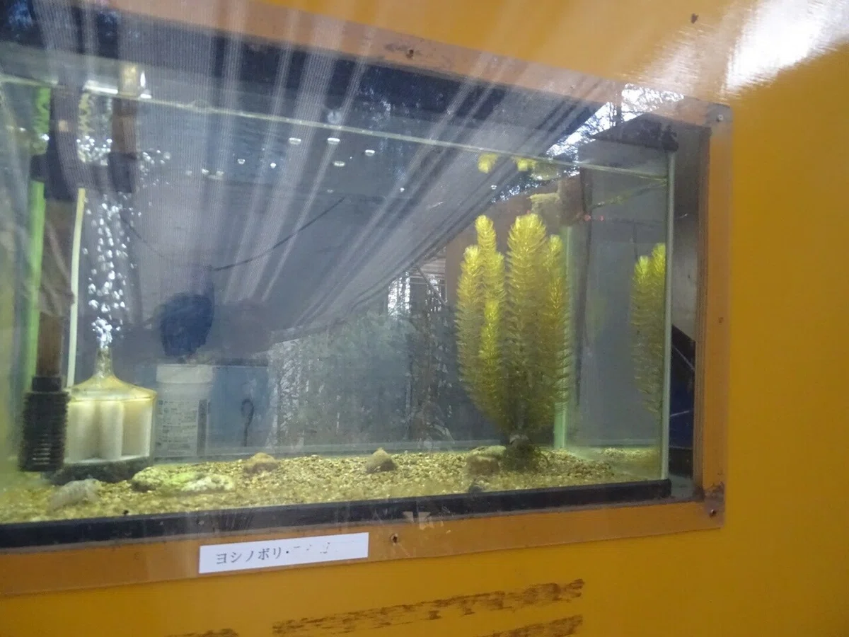 画像39