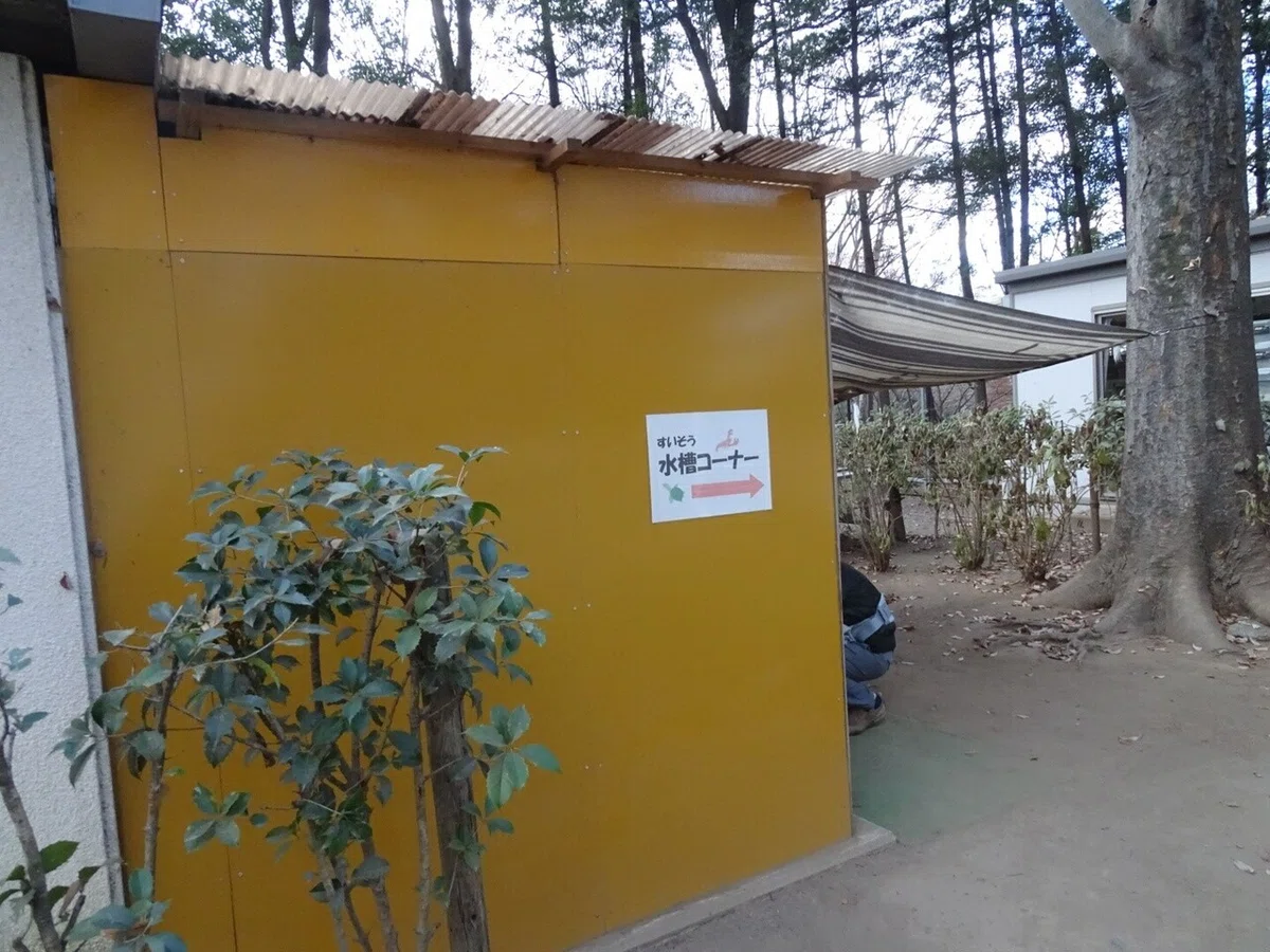 画像38