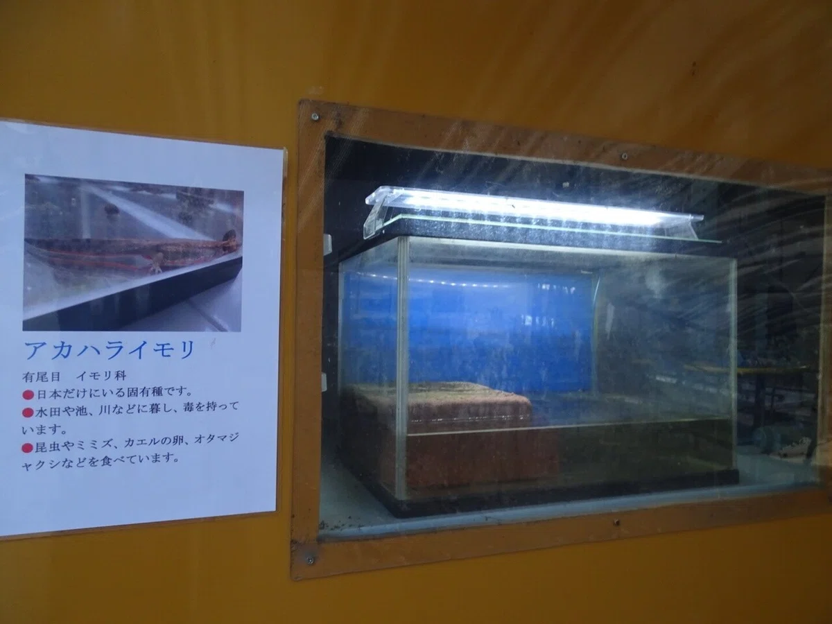 画像41