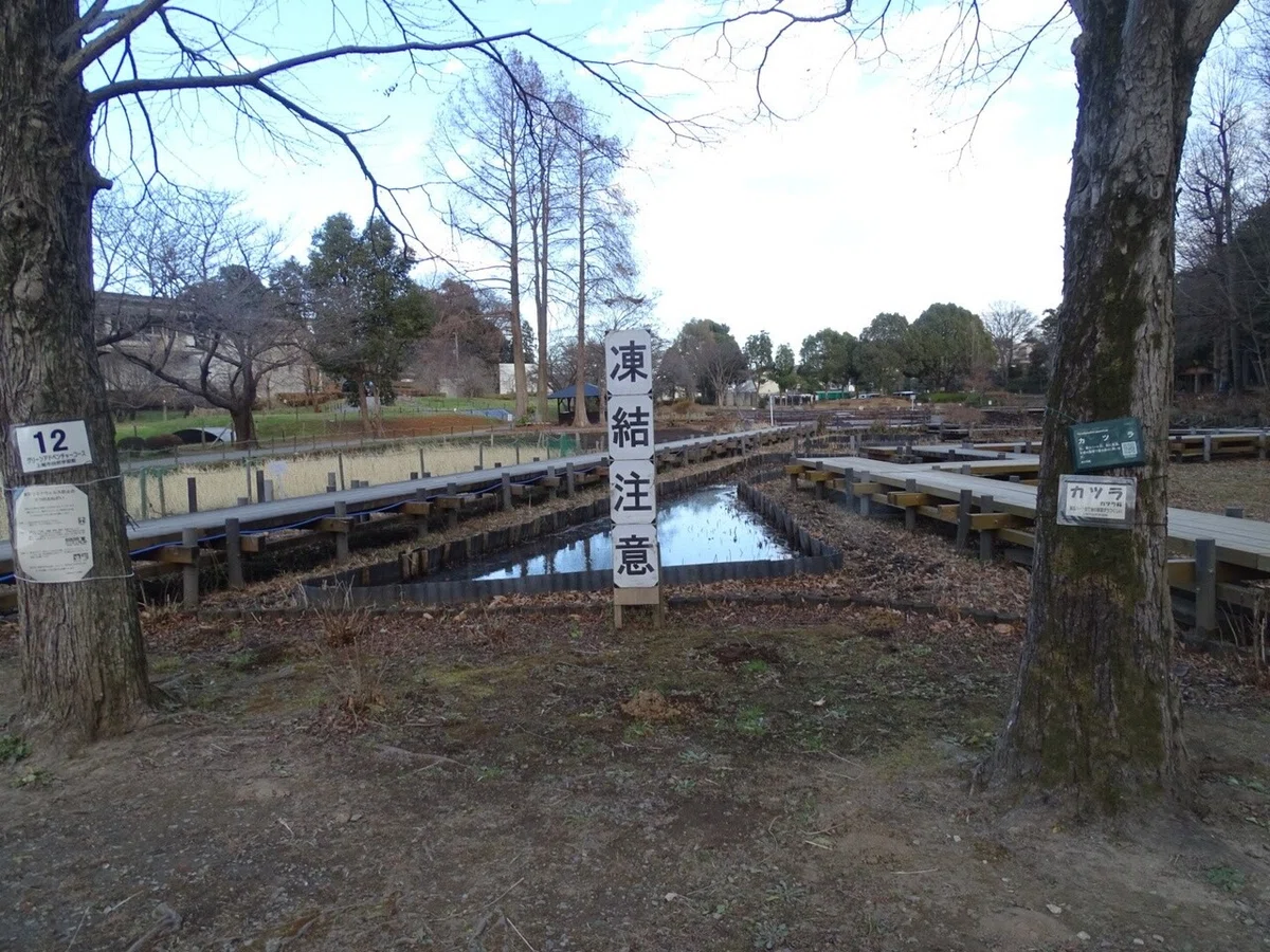 画像54